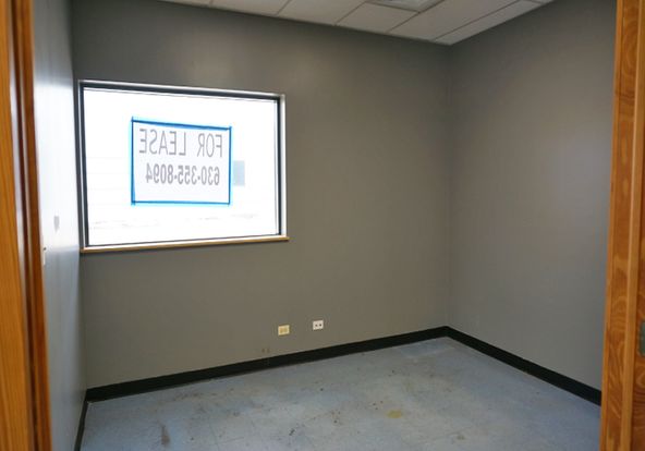 Suite 1